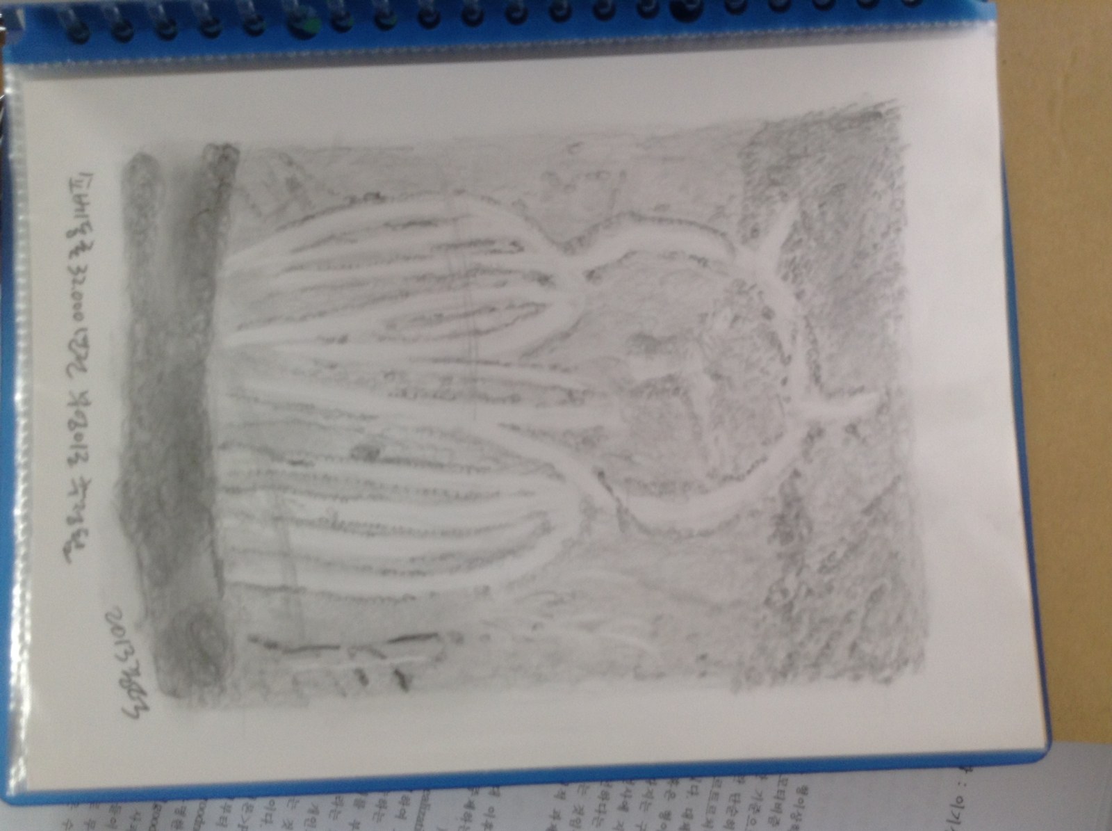 올빼미 신성화의 고인류학