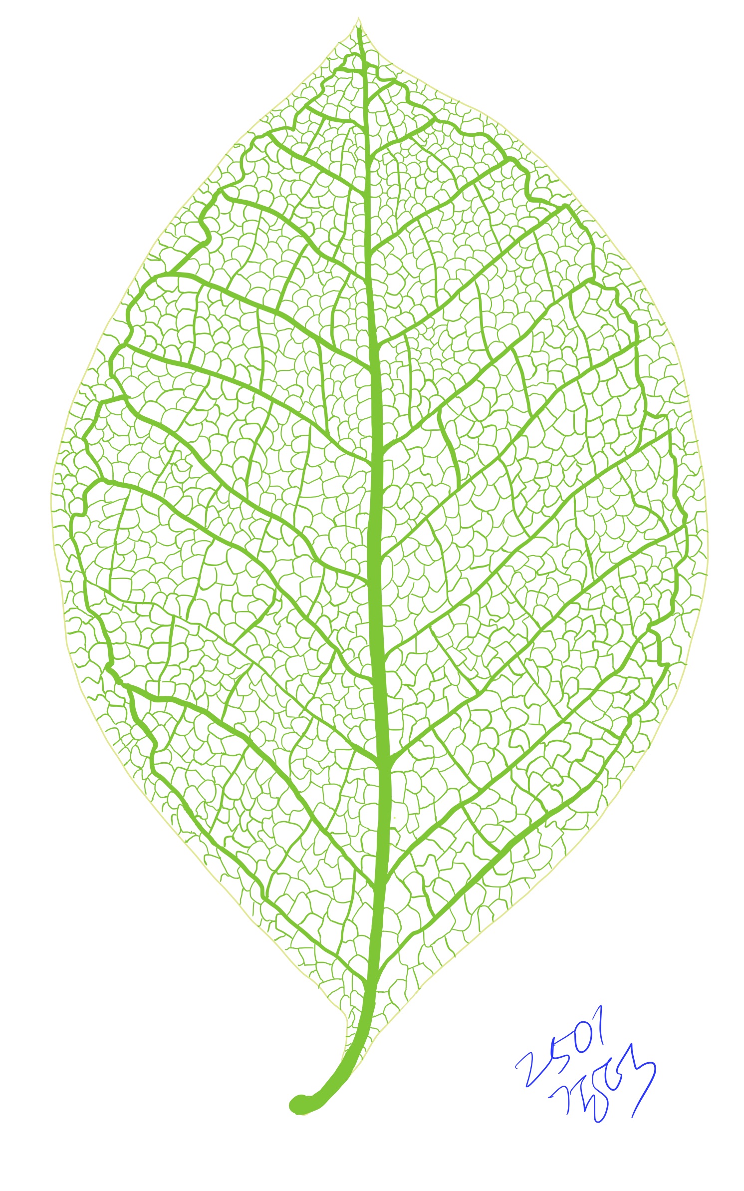 leaf